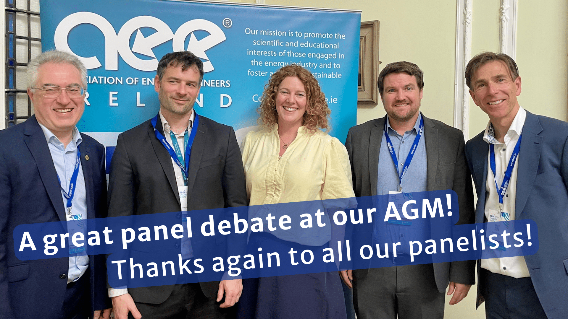 AEE Ireland AGM 2026 panelists